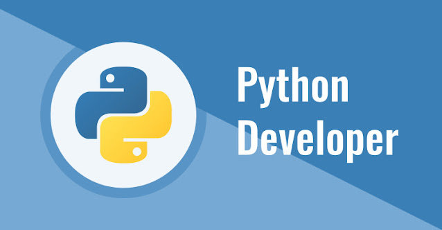 Hire  Python Web Developers