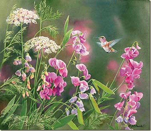 rufous-hummingbird-painting-by-susan-bourdet-A085863841