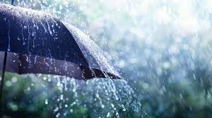 Today In which cities will it rain? Meteorology Department