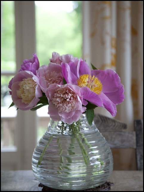 pink-flowers