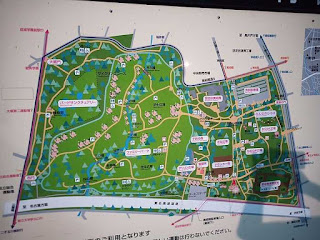 砧公園