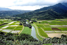 Hanalei Lookout 10 Things to Do in Kauai