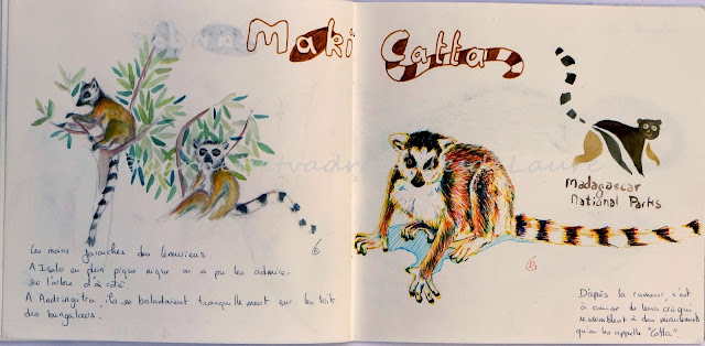 carnet-de-voyage-Madagascar-maki-catta-aquarelle-stabilo-carnetsetvadrouillesdelaure