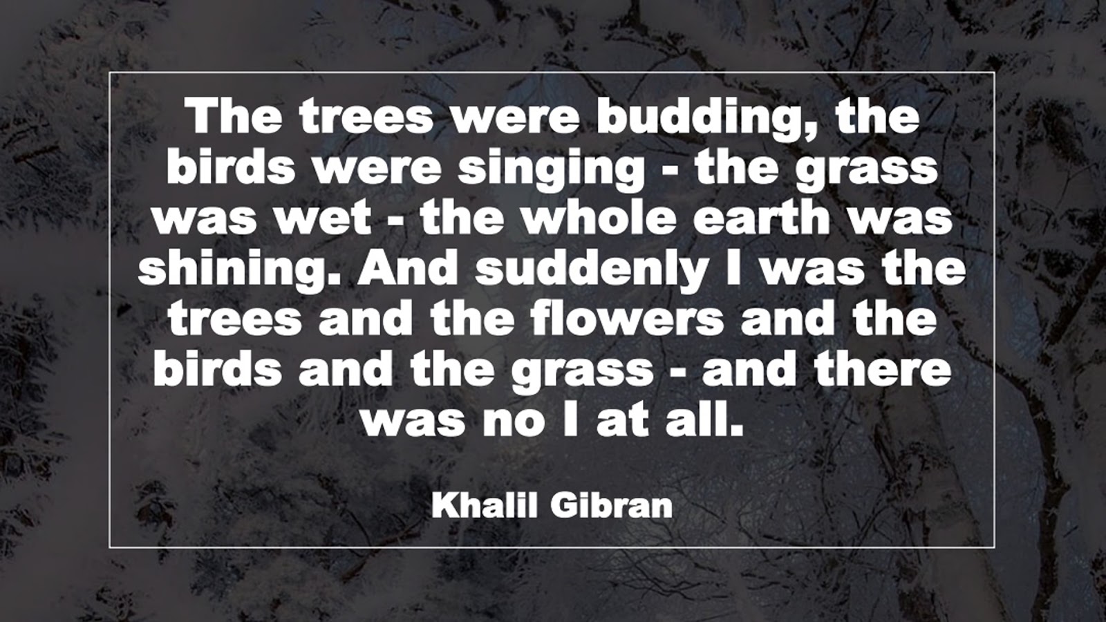 The trees were budding, the birds were singing - the grass was wet - the whole earth was shining. And suddenly I was the trees and the flowers and the birds and the grass - and there was no I at all. (Khalil Gibran)