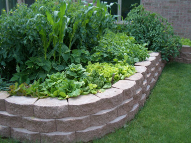 Raised Beds Gardening on Building Raised Garden Beds Is A Great Way For New Gardeners To Get