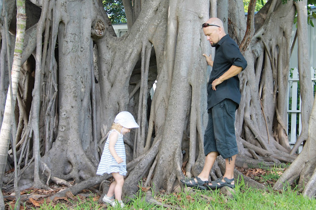 mangrove key west majakka