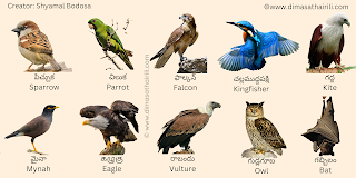 telugu birds names, తెలుగు పక్షుల పేరు