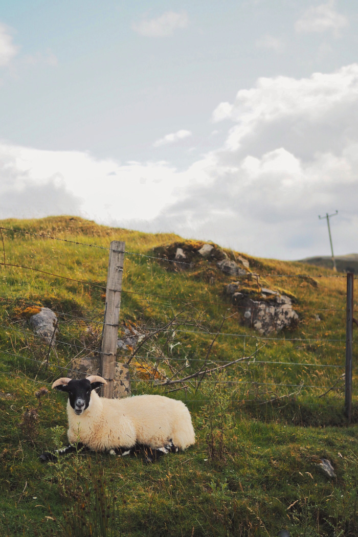 Road trip sur l'île de Skye en Ecosse