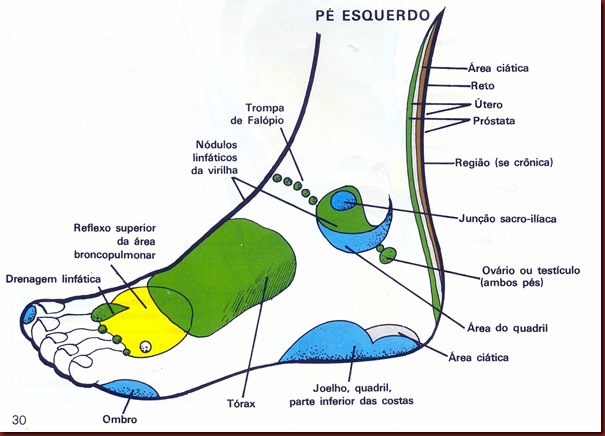 Reflexologia Mapa do Pé Esquerdo Lateral