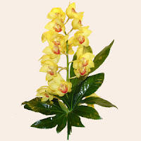 Orhideea Cymbidium