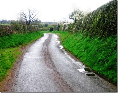 Tall hedges and narrow lanes-Marbury