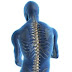 5 SPINE-HEALTHY TIPS