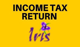 income tax return 2022, fill return online , fbr, Tax Return 2022 last date, FBR, submit tax return online,  tax return form 2022,