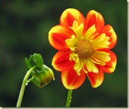 078