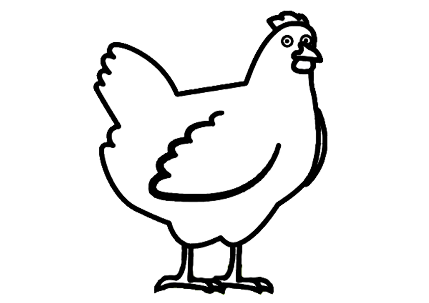 Chicken Coloring Pages For Free printable