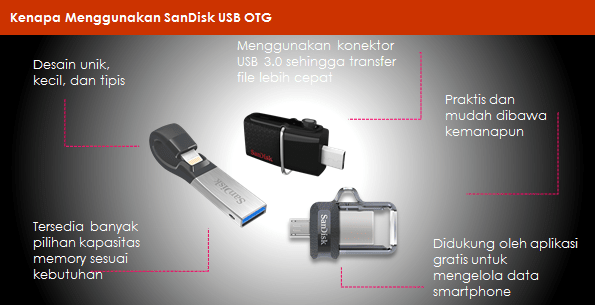 SanDisk USB OTG Dual Flash Drive