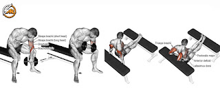 Grow Huge Arms with This 5 Move Superset Workout