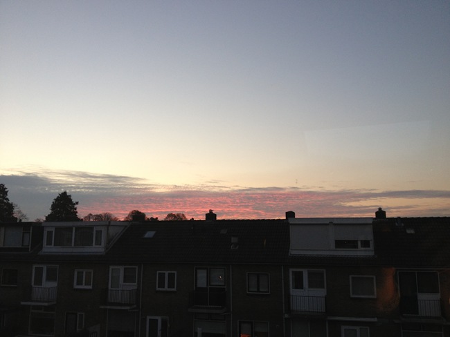 IMG_1228 IMG_1228