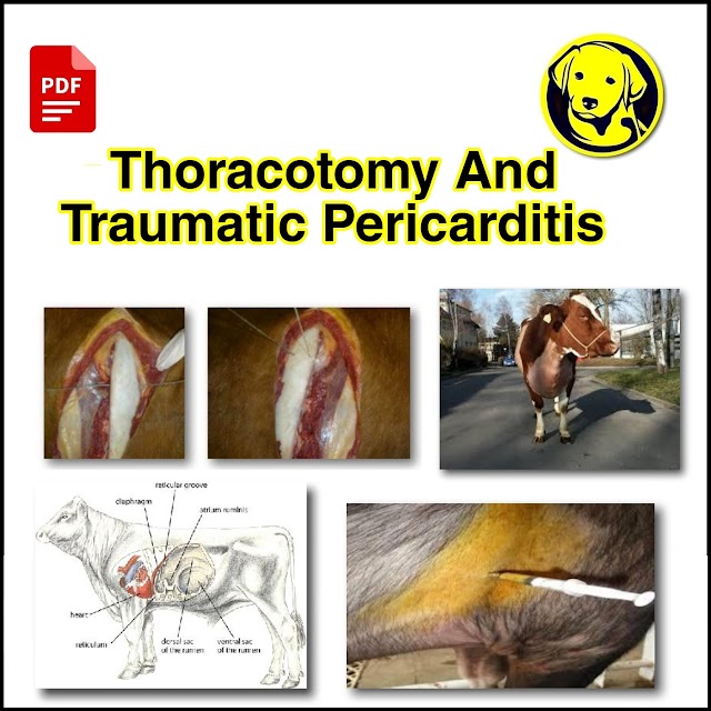 Free Download Thoracotomy And Traumatic Pericarditis Pdf