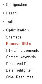 webmaster-option-remove-url