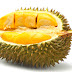 Gambar Buah Durian