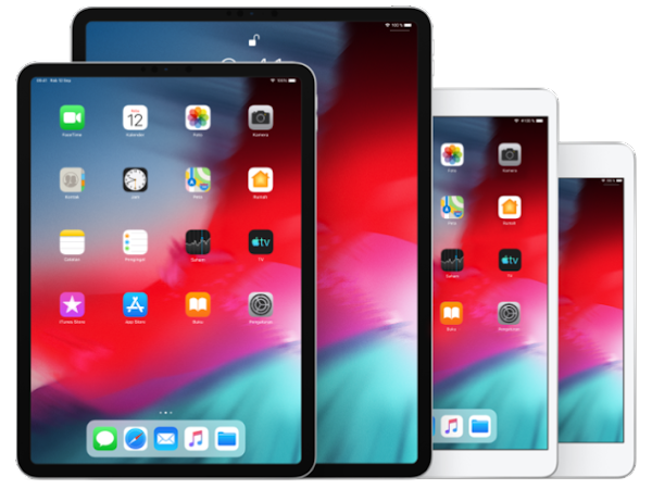 IPSW for the iPad Pro 4 (12.9-inch, WiFi)) - Download iPad8,10 latest iPadOS IPSW filesIPSW for the iPad Pro 4 (11-inch, WiFi) - Download iPad8,9 latest iPadOS IPSW files