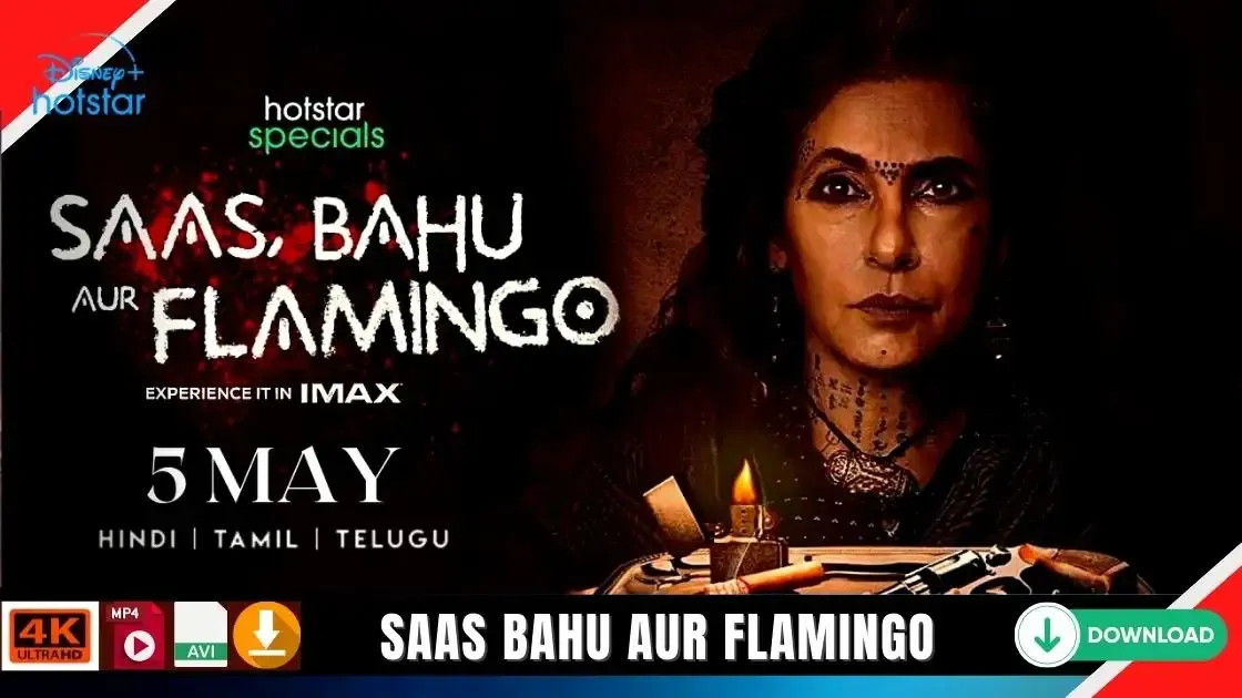 Saas Bahu Aur Flamingo Download