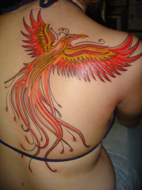 tattoo fenix by Ras Postado por Ras s 1125