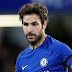 Chelsea plan to release Cesc Fabregas on a free transfer