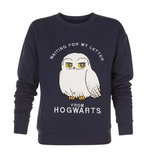 Sweat bleu marine Harry Potter Undiz