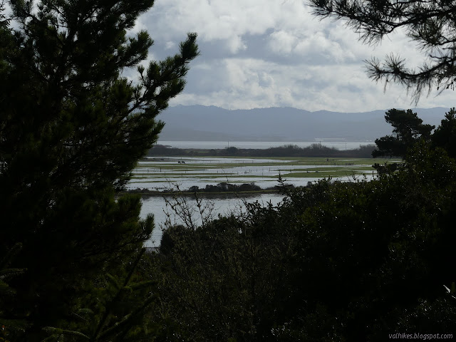 flooded ranch area