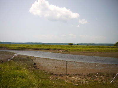 泥川と霧多布湿原