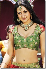Telugu Actress Maryam Zakaria Hot Spicy Stills