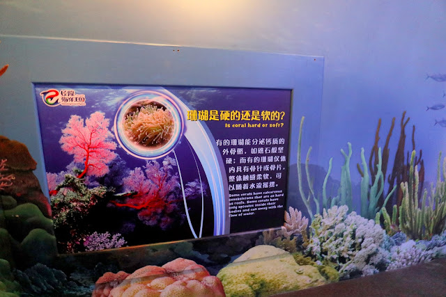 珠海長隆海洋王國．世界最大水族館