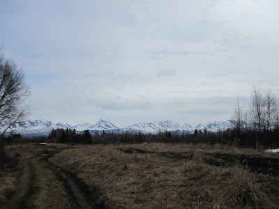 A picture of the road leading to the Jody Wirawan Memorial Cache.