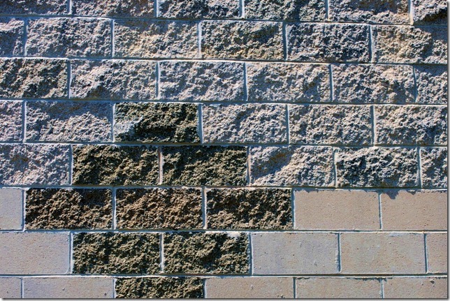Wall at Noon
