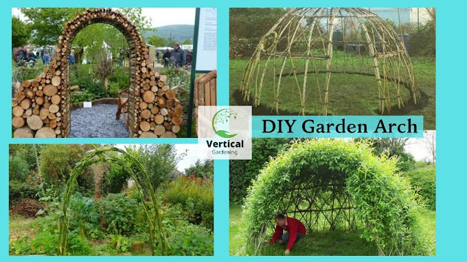 DIY Garden Arch Ideas to Transform Your Outdoor Space