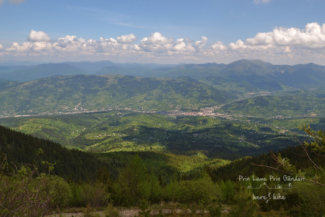 maramures-rodnei-borsa