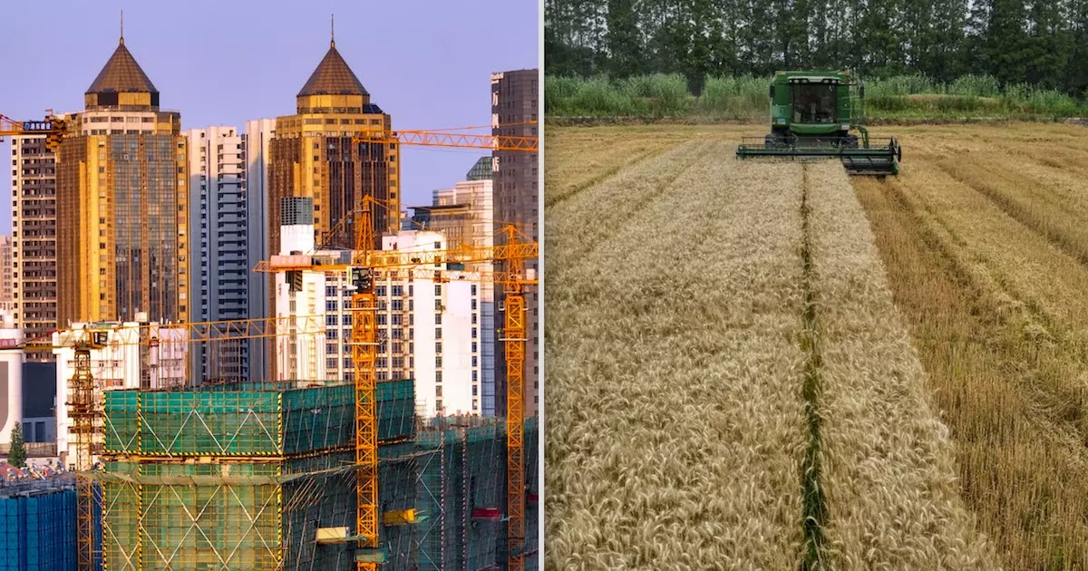 Chinese Property Developers Accept Wheat And Garlic As Down Payments Amid Downturn