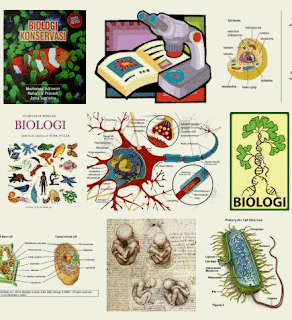  Rangkuman Biologi  Kelas X Semester 1 Terbaru 2022 