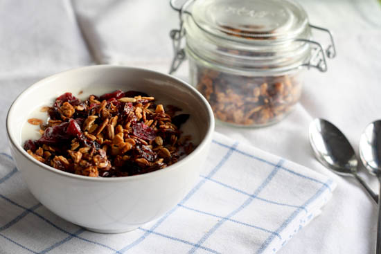 cranberry and chocolate granola