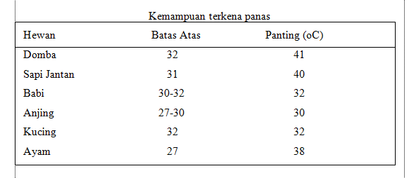 kemampuan terkena panas pada ternak atau hewan