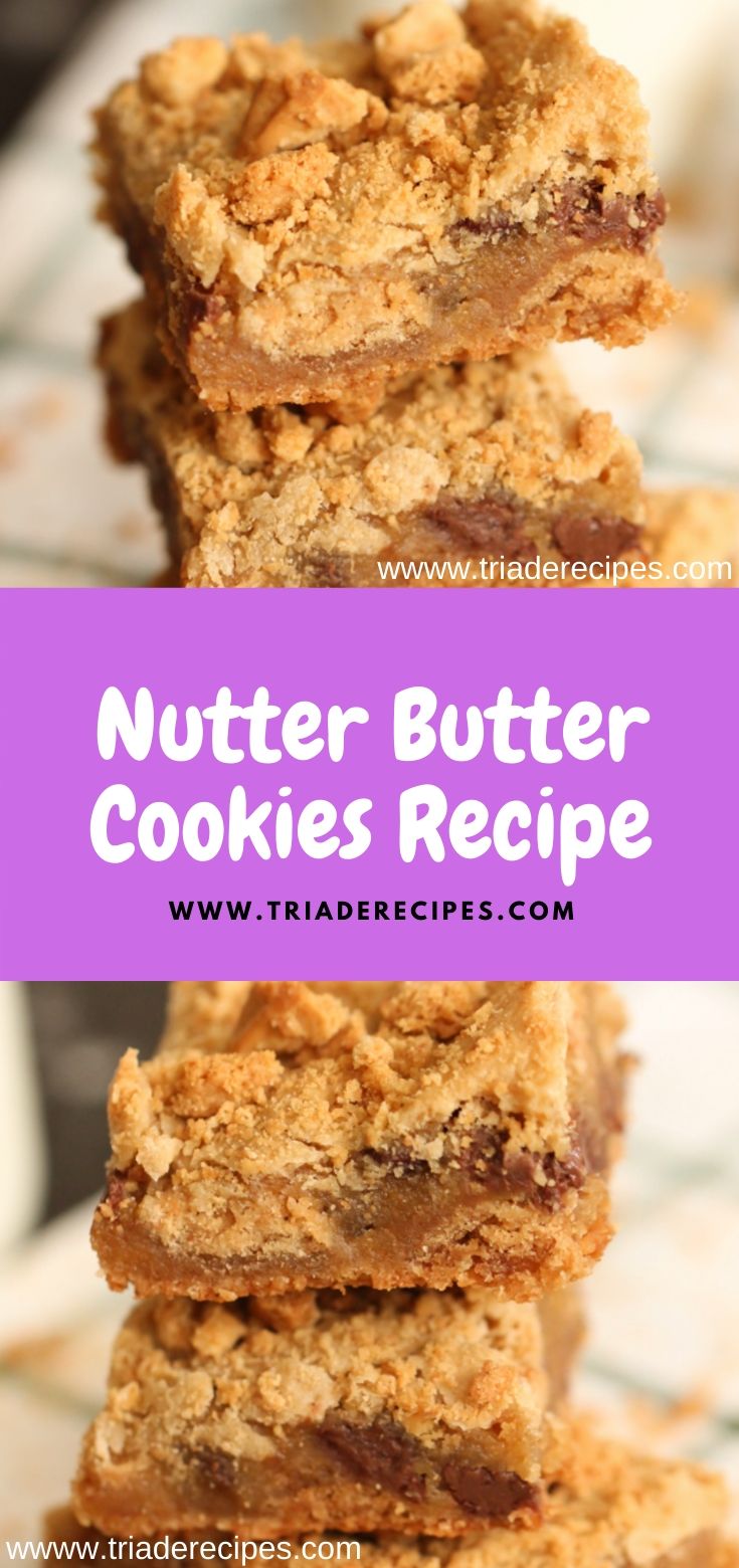 Nutter Butter Cookies Recipe