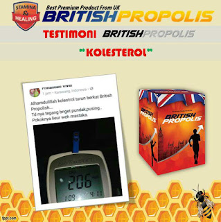 testimoni British Propolis mengobati kolesterol ampuh di apotek