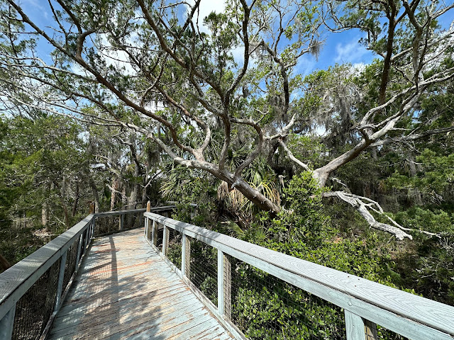 Fort Mose Historic State Park
