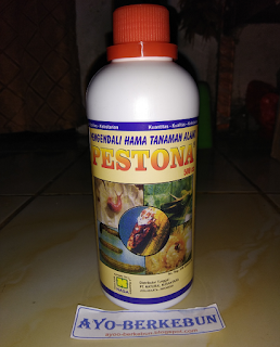 jual pestona murah