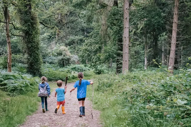 3 children with sticks walking down a path surrounded by woodland