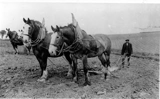 Black and white photo of 1800s plowing fields hard labor midwest 