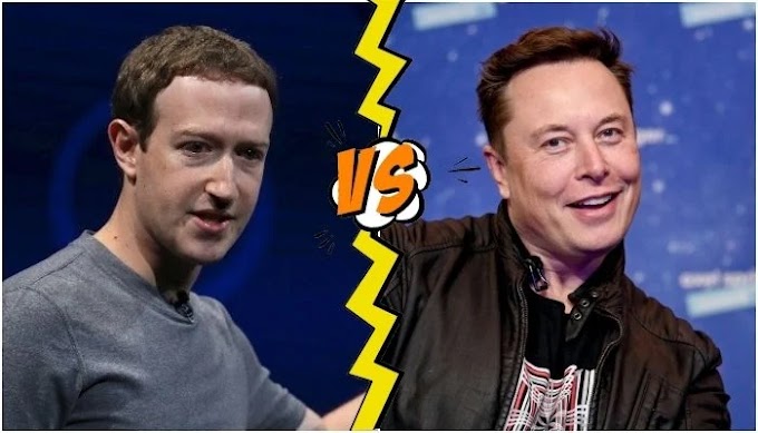 'Mark Zuckerberg, Elon Musk serious about cage fight'