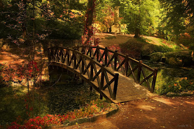 Wooden Bridges by cool wallpapers
